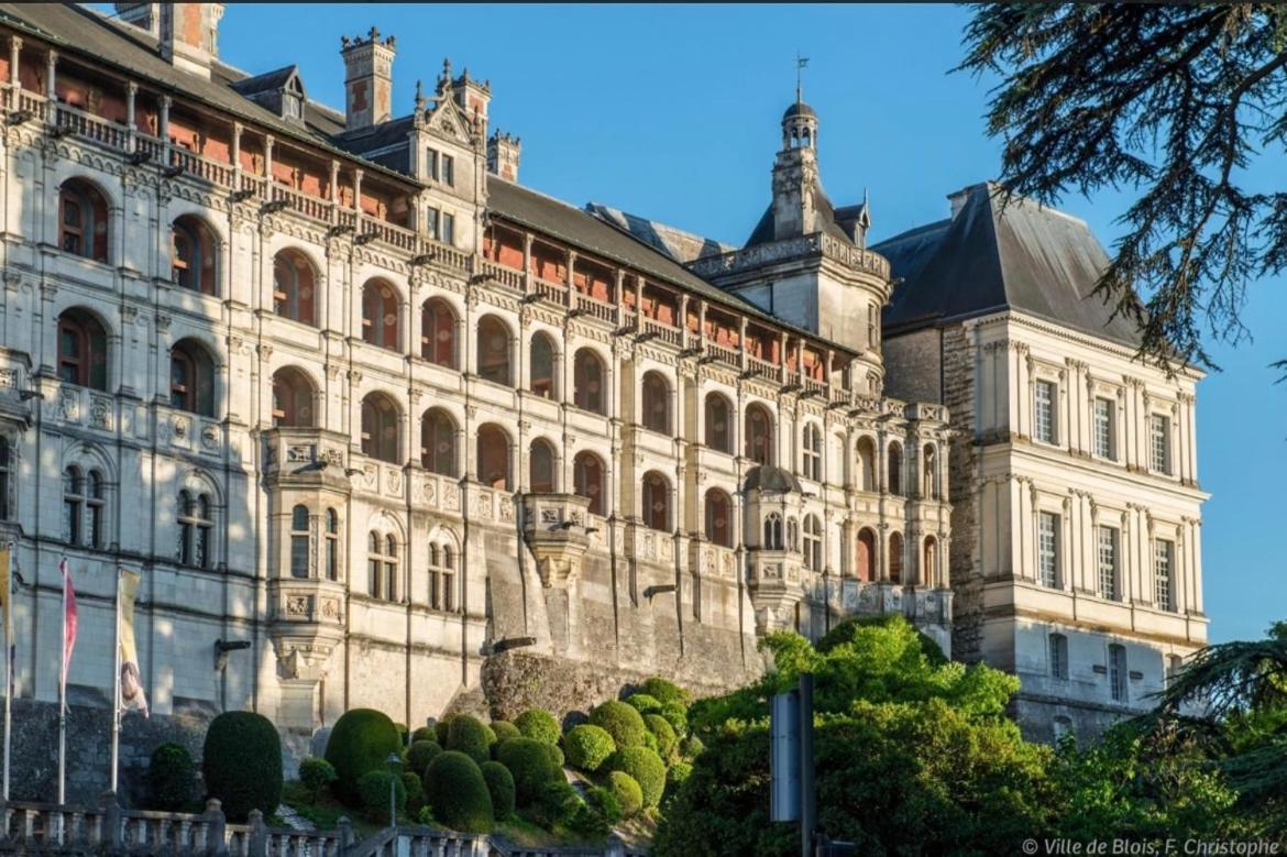 Appartement Haut Standing Proche Du Centre Ville, Vue Sur La Cathedrale Saint Louis 布鲁瓦 外观 照片